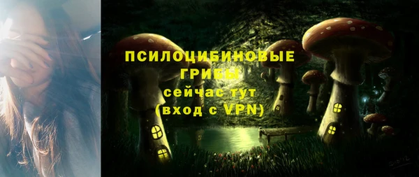 шишки Бронницы