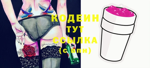 МДПВ Бородино