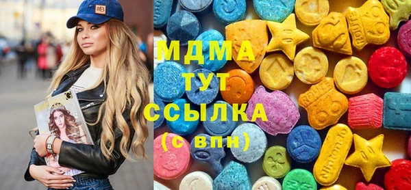 МДПВ Бородино