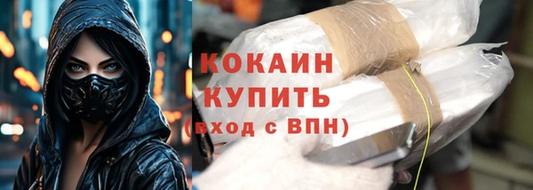 МДПВ Бородино