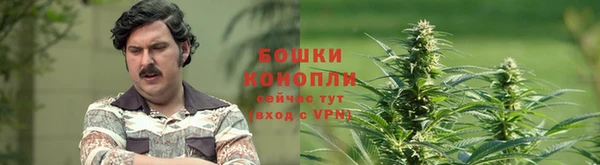 спиды Бугульма