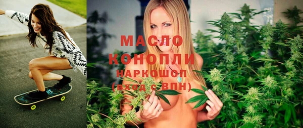 МДПВ Бородино