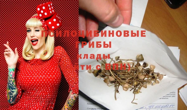 спиды Бугульма