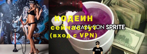 МДПВ Бородино