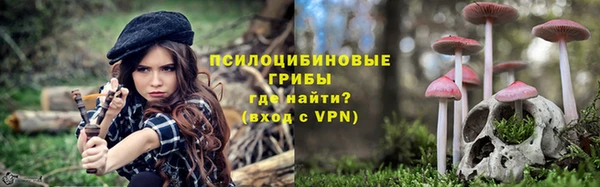 МДПВ Бородино