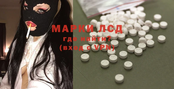 шишки Бронницы
