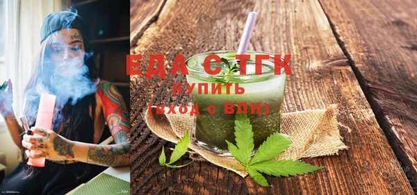 МДПВ Бородино