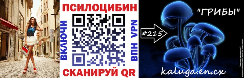 shop как зайти  Новороссийск  Псилоцибиновые грибы Psilocybe  наркота 