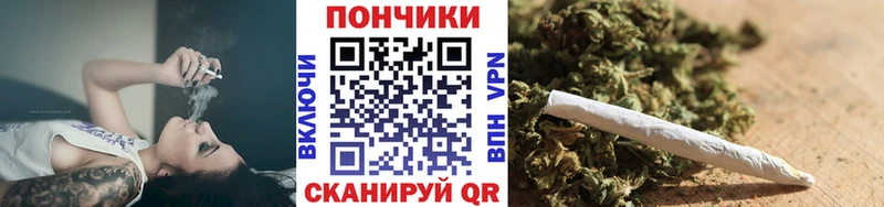 Бошки Шишки сатива  ОМГ ОМГ вход  Новороссийск  дарнет шоп 